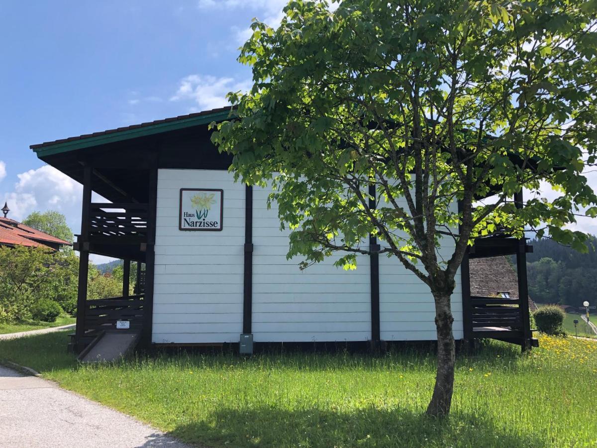 Vorauf - Be Lucky Apartment Siegsdorf